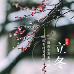 手机壁纸