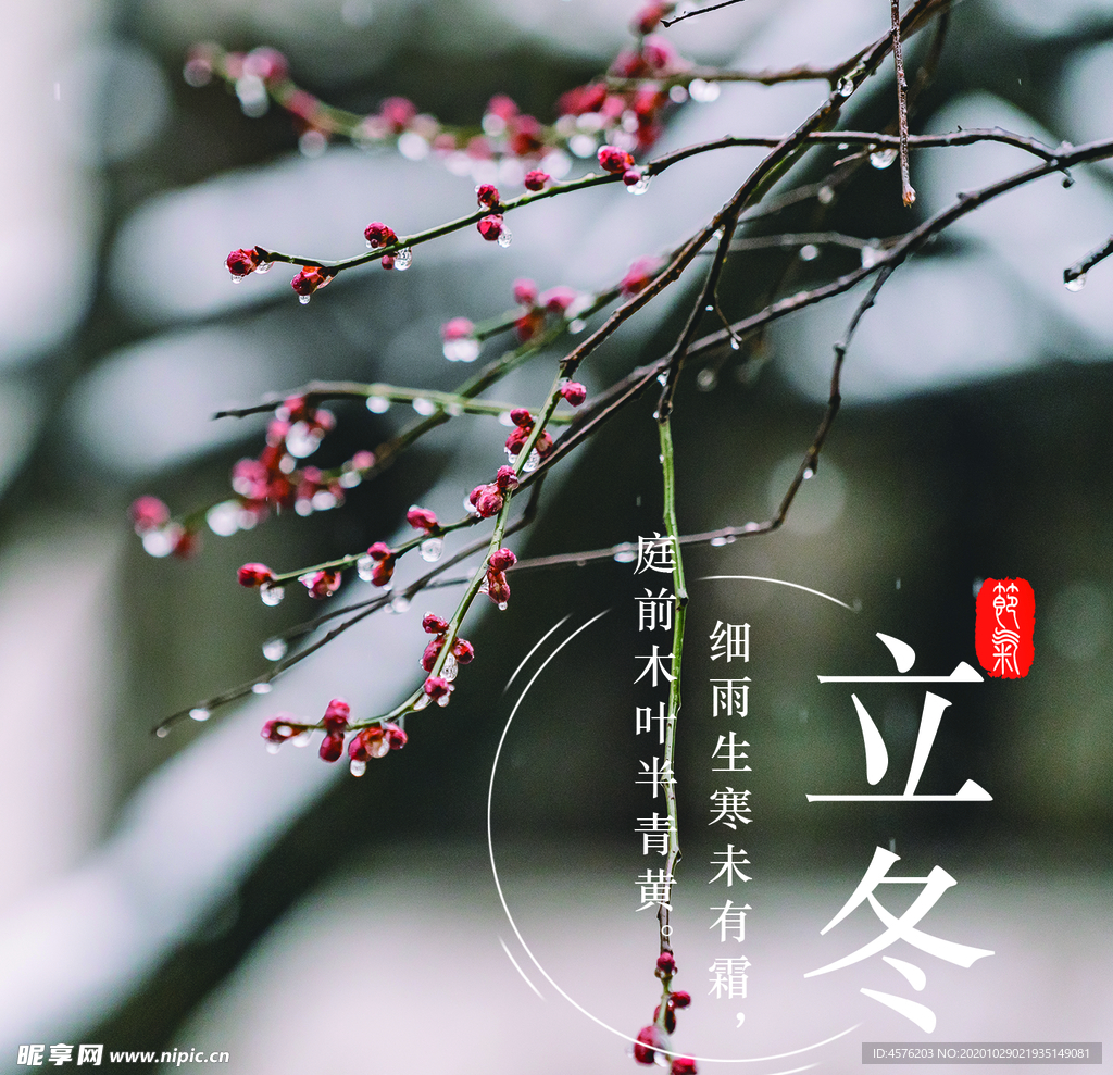 手机壁纸