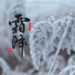 手机壁纸