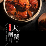 手机壁纸