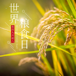 手机壁纸
