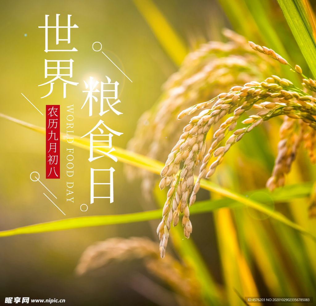 手机壁纸