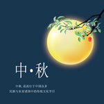 手机壁纸