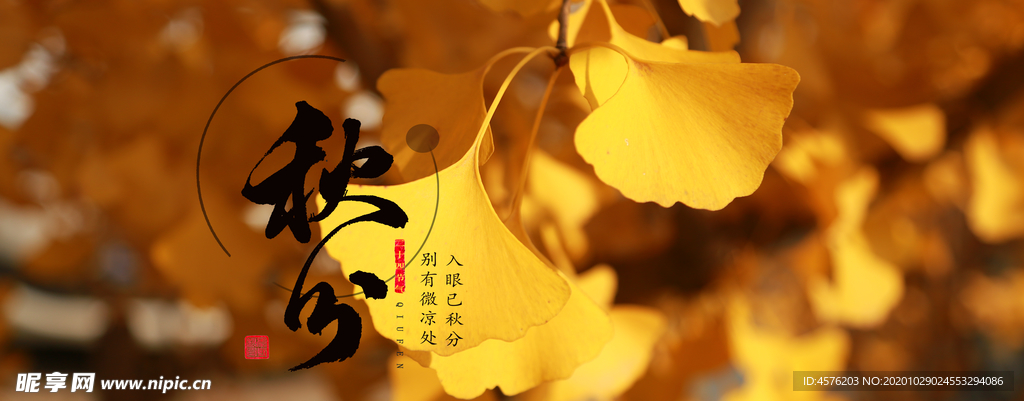 手机壁纸