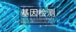 手机壁纸
