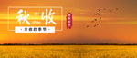手机壁纸