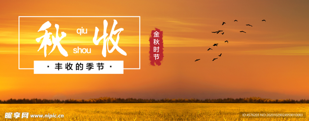 手机壁纸