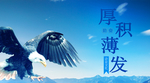 手机壁纸
