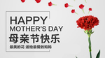 手机壁纸