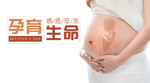 手机壁纸