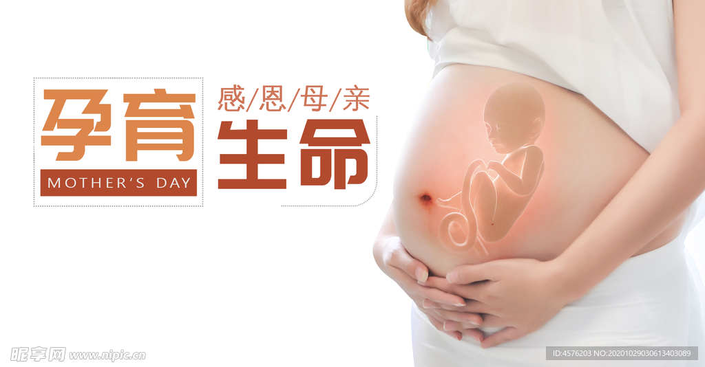 手机壁纸