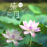 手机壁纸