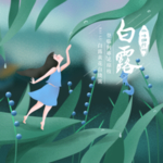 手机壁纸