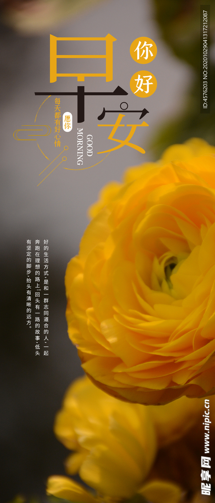 手机壁纸