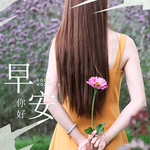 手机壁纸