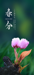 手机壁纸