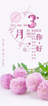 手机壁纸