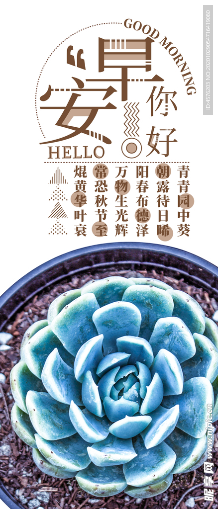 手机壁纸