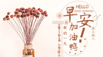 手机壁纸