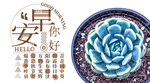 手机壁纸