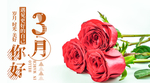 手机壁纸
