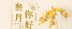 手机壁纸