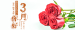 手机壁纸