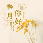 手机壁纸