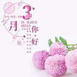 手机壁纸