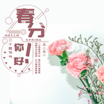 手机壁纸