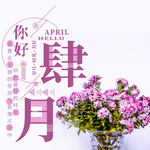 手机壁纸