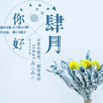 手机壁纸