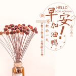 手机壁纸