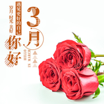 手机壁纸