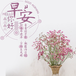 手机壁纸