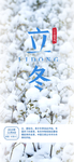 手机壁纸