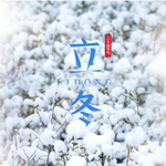 手机壁纸