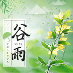 手机壁纸