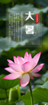 手机壁纸