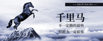 手机壁纸