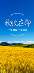 手机壁纸