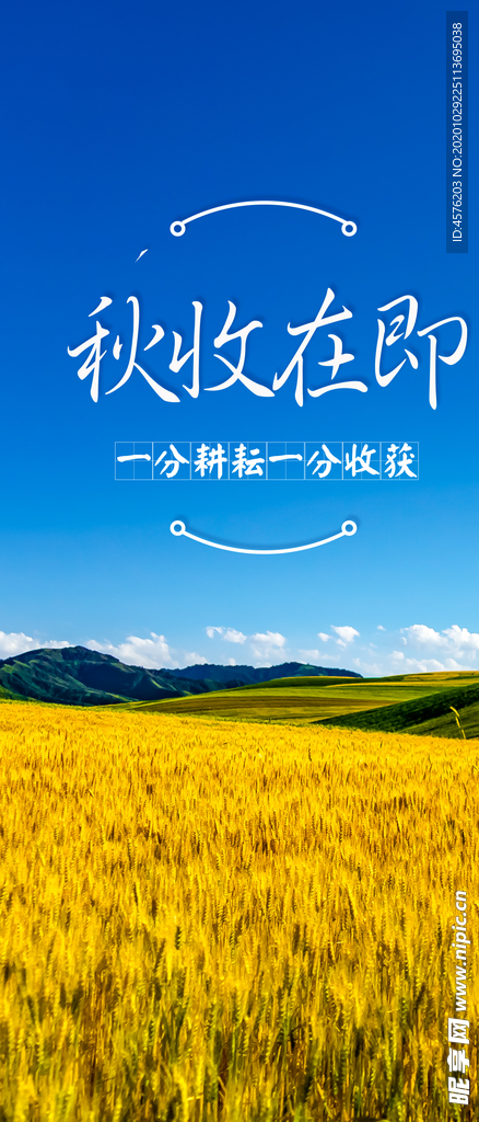 手机壁纸