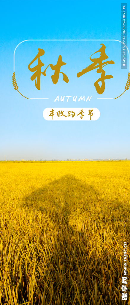 手机壁纸