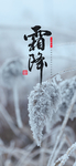 手机壁纸