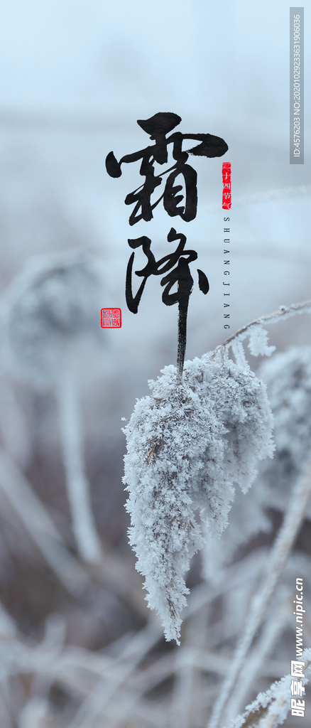 手机壁纸