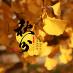 手机壁纸