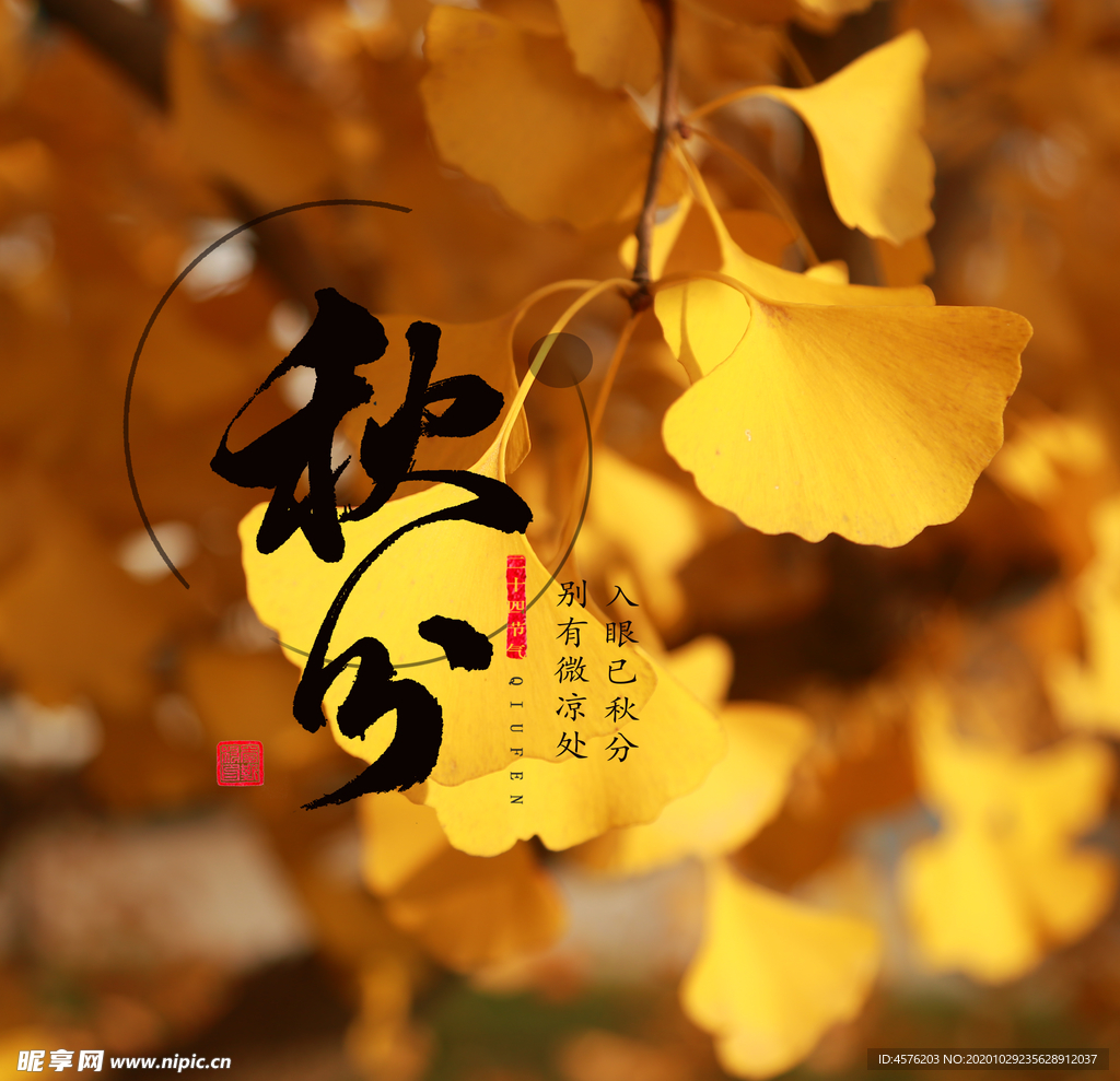 手机壁纸
