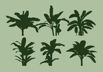 芭蕉树矢量图