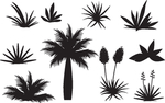 热带植物矢量图