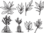 手绘植物叶子矢量图